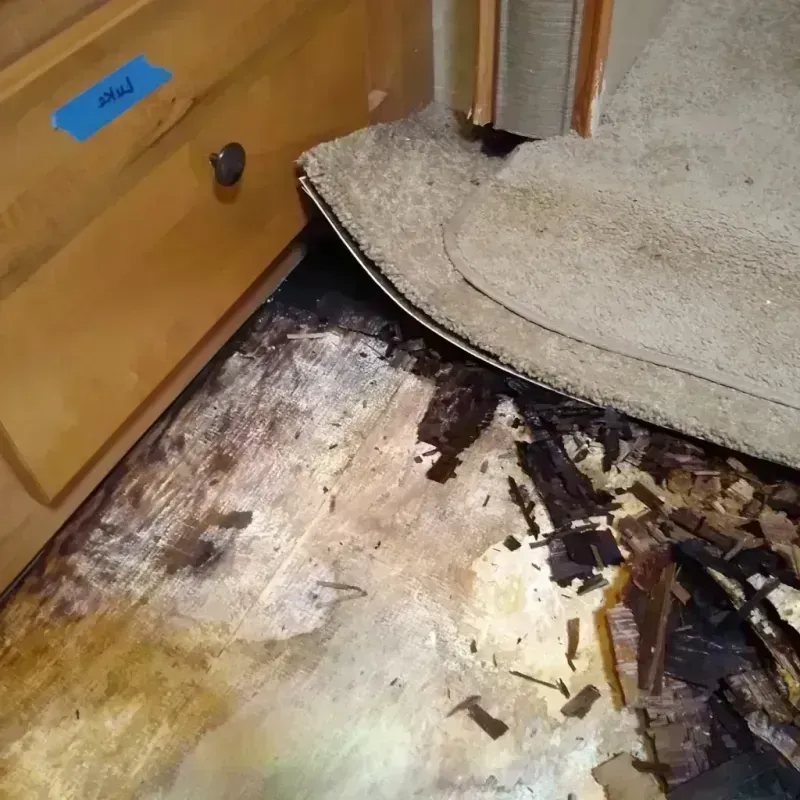 Wood Floor Water Damage in Fall Branch, TN